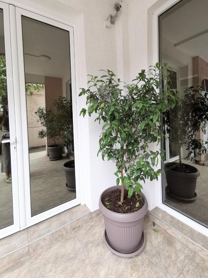 Hotel Suzana 부드바 외부 사진