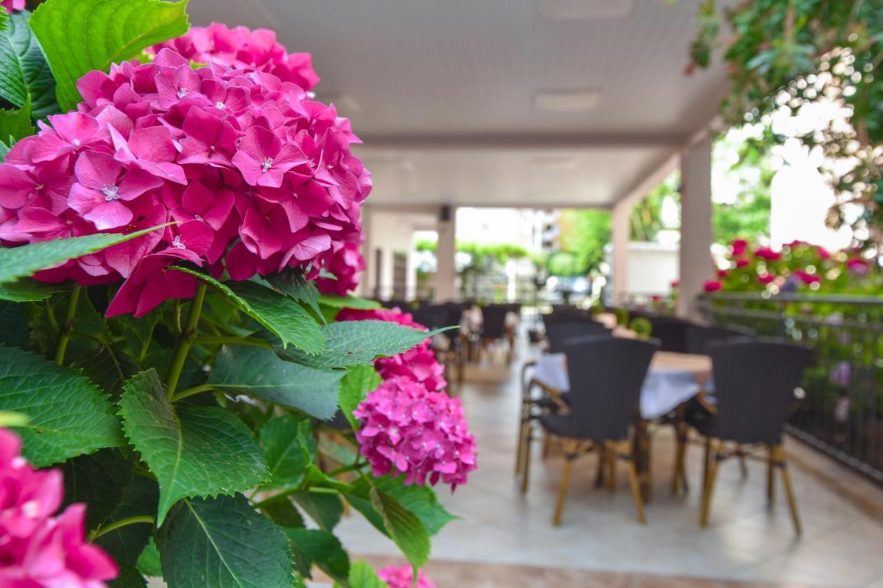 Hotel Suzana 부드바 외부 사진